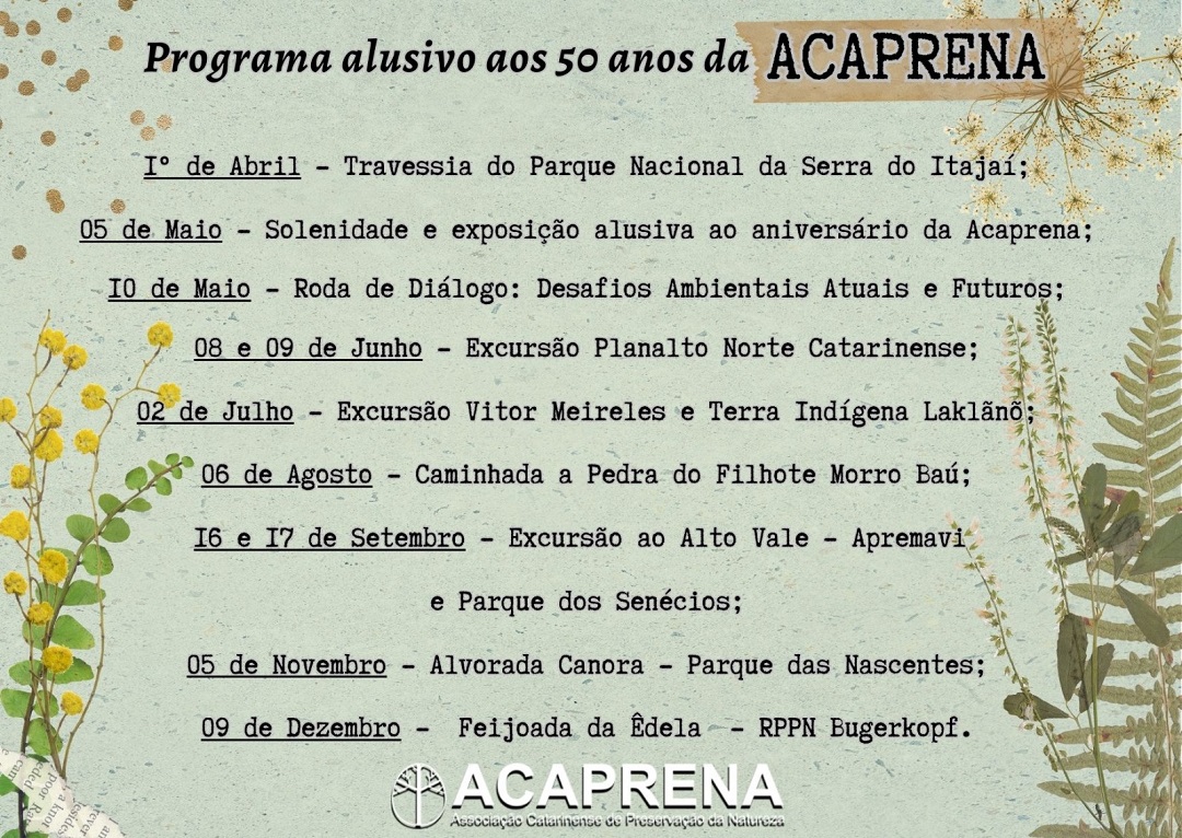 Divulgação.