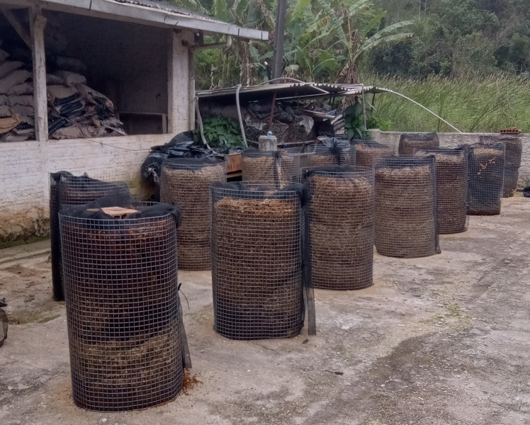 patio-compostagem