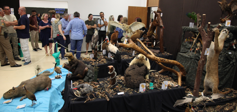 Exposição Fritz Muller 