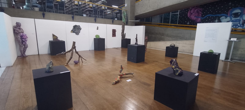 Exposição FUNGUS no Salão Angelim