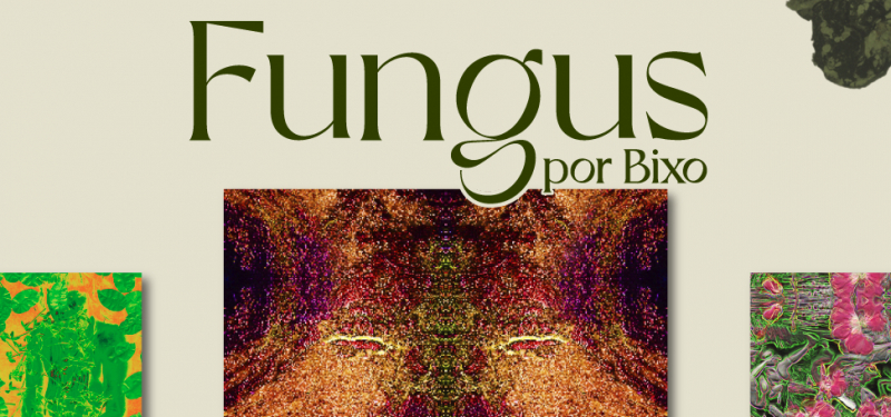 Exposição FUNGUS