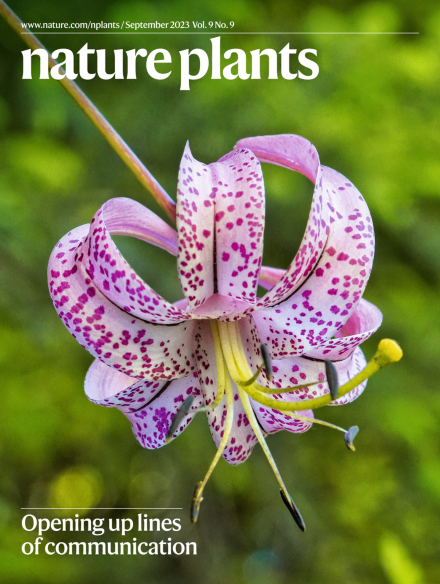 Capa Nature Plants 