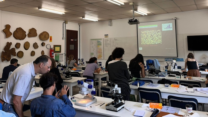 Curso curta duração fungos