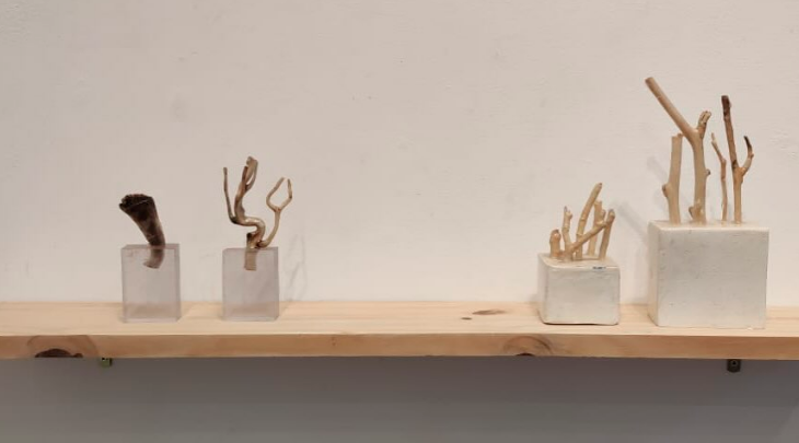 Egresso e coordenador de Artes Visuais da FURB promove exposição no Museu de Arte de Blumenau