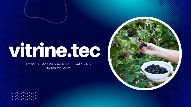 Pesquisa da FURB desenvolve composto que reduz colesterol e tem efeitos antidepressivos a partir de planta da região