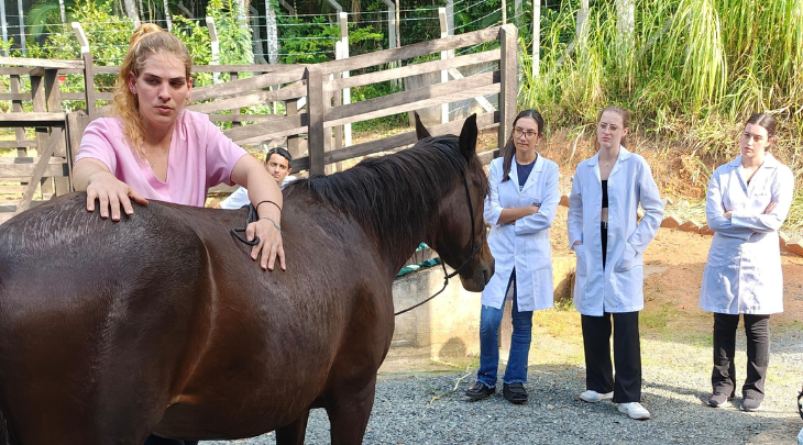 Semana Acadêmica de Medicina Veterinária na FURB discute de vacinas a fisioterapia em grandes animais