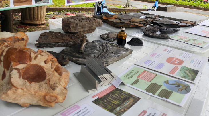 FURB promove oficina de Paleontologia no Parque Ramiro Ruediger