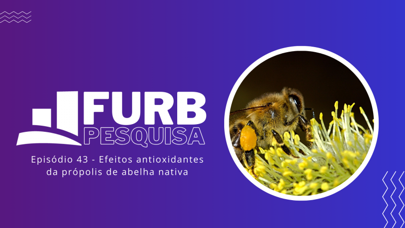 Pesquisa FURB revela efeitos antioxidantes da própolis de abelha nativa