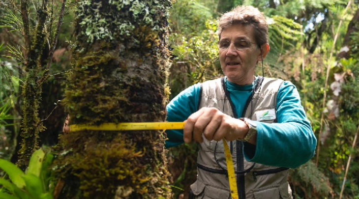 Listado entre os pesquisadores brasileiros mais influentes do mundo, pesquisador da FURB dedica vida acadêmica ao conhecimento das florestas