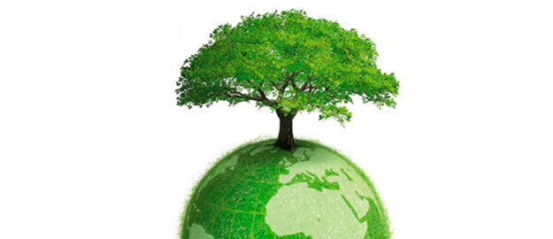 CAPES aprova Mestrado em Biodiversidade na FURB