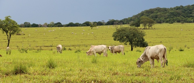 Semana Acadêmica debate drogas, agronegócio e gênero 