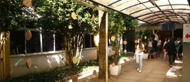 Inscrições abertas para o Programa Novos Valores