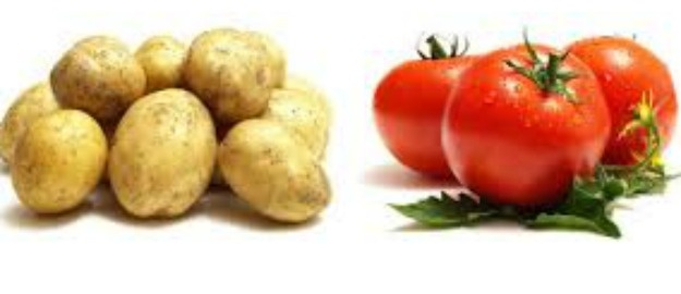 Batata e tomate elevam a cesta básica de fevereiro