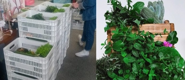 Parceria com o CIB incentiva compra de cestas agroecológicas