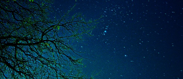 Biblioteca Universitária sedia mostra de Astronomia em parceria com SESC Blumenau