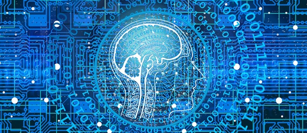 Cinquenta anos de pesquisa nos programas da Universidade