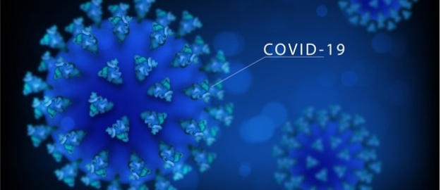 Professor da FURB participa de projeto da USP sobre coronavírus