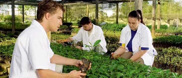 Alunos e professores da Engenharia Florestal participam de congresso na Argentina