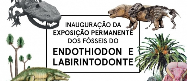 Fósseis de 220 milhões de anos expostos na Universidade 