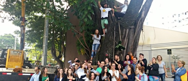 Arquitetura protagoniza suspensão do corte da figueira