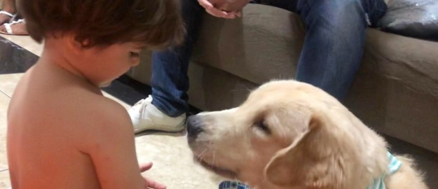 Semana acadêmica discute saúde única de humanos e animais