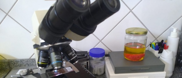 Semana de lives sobre uso de antibióticos e questão animal