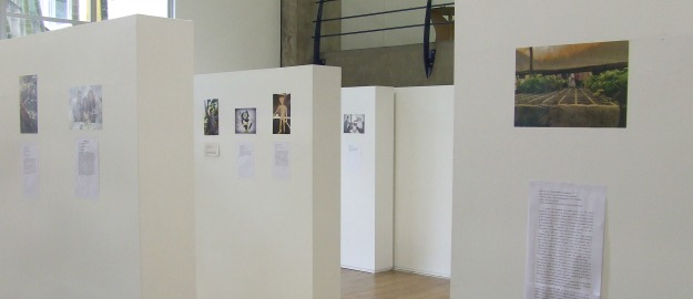 Propet-Saúde realiza exposição de fotos do programa