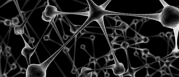 Distúrbios cognitivos é tema de palestras promovidas pela Liga de Neurociências