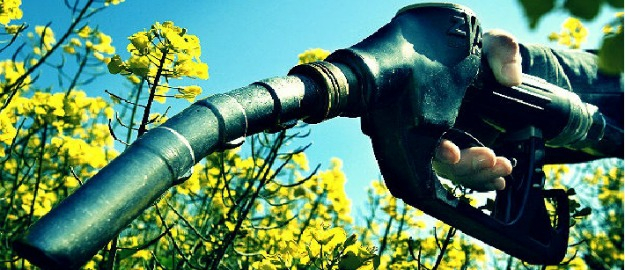 Professora do Paraná apresenta resultados de pesquisa sobre biocombustível em seminário
