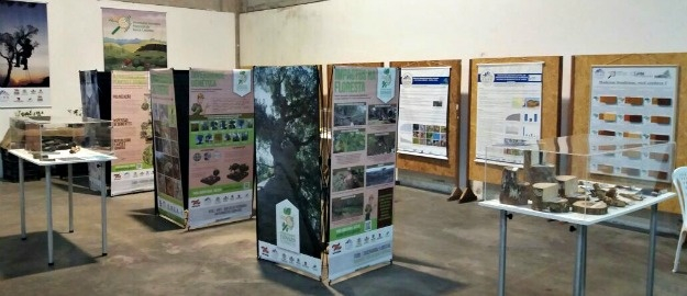 Biologia e Florestal prestigiam Festa das Orquídeas