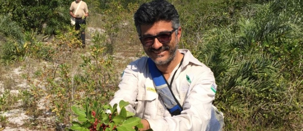 Engenharia Florestal descobre insetos para controle biológico 