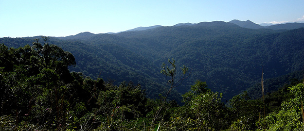 Inventário florístico-florestal de SC é apresentado na Fapesc