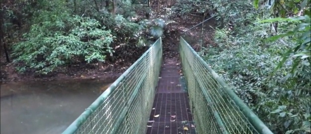 Trilha virtual pelo Parque São Francisco 