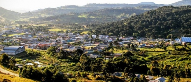 Engenharia Florestal conquista menção honrosa internacional 