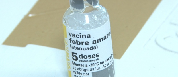 Especialistas alertam sobre febre amarela