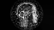 Integrantes de Programas de Pós-Graduação da FURB debatem tecnologia e neurociência com pesquisador internacional