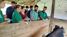 Estudantes do curso de Medicina Veterinária realizam primeira atividade prática do semestre na Fazenda Escola da Furb