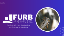 Abelhas Jataí demonstram potencial para meliponicultura urbana, revela Pesquisa FURB