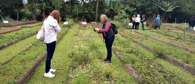 Jovem de Balneário Camboriú ensina ciência no  e reúne